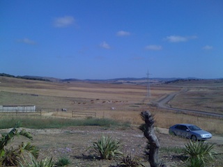 Koeien in de wei bij Casa La Siesta