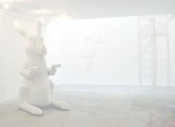 hase2.jpg