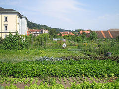 30394635_18acffc06d_m.jpg