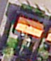 appelboom.png