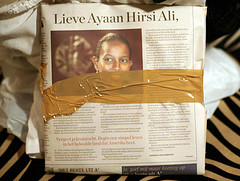 ayaanh.jpg