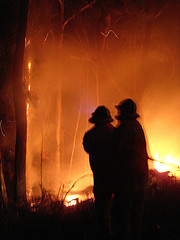 bushfire.jpg