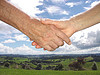 handshake.jpg
