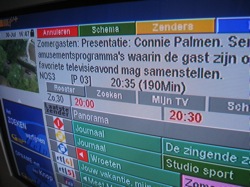 zg.jpg